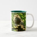 Search for owl face mugs Barred