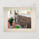 Search for stall postcards Vintage