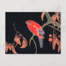 Search for parrot horizontal postcards Antique