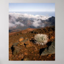Search for pele posters Haleakala