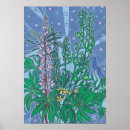 Search for bluebonnet posters Lupine