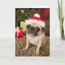 Search for angles cards Cute
