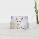 Search for brown eye cards White