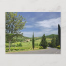 Search for cypress postcards Europe