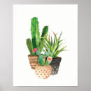 Search for group posters Cactus