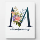 Search for fancy plaques White