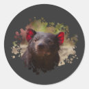 Search for marsupial stickers Tasmanian devil