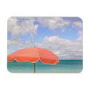 Search for turk magnets Tropical
