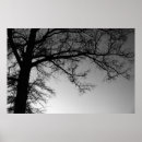 Search for limb posters Nature