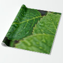 Search for raindrop wrapping paper Drops