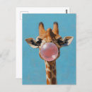 Search for pink gum postcards Funny