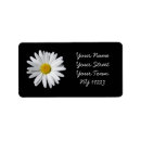 Search for sun flower return address labels Floral