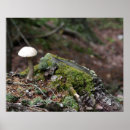 Search for tree stump art Woods