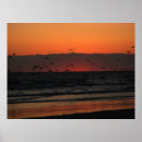 Search for seagull flying posters Water