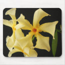 Search for jasmin mouse mats Green