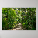 Search for large tree posters Footpath