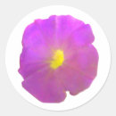 Search for purple petunia stickers Floral
