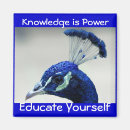 Search for knowledge magnets Power