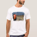 Search for galapagos tshirts Red