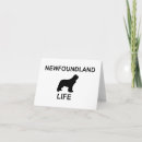 Search for newfie cards Landseer