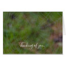 Search for droplets cards Nature