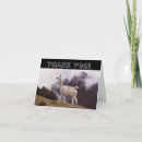 Search for andes mountain cards Llama