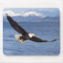 Search for raptor mouse mats Carnivore