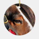 Search for clydesdale horse christmas tree decorations Horses