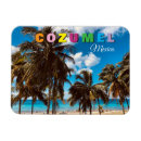 Search for mexico souvenir magnets Cozumel