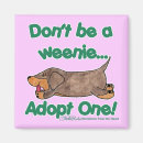 Search for weeny magnets Doxie
