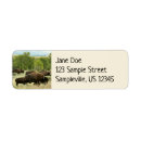 Search for rocky mountain return address labels Nature
