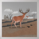 Search for stag posters Stag with antlers