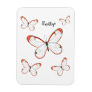 Search for transparent magnets Butterfly