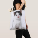 Search for innocent bags One animal