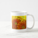 Search for african daisies drinkware Blossom
