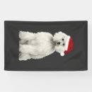 Search for standard poodle posters Pug