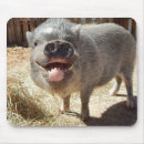 Search for mini mouse mats Farm