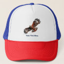 Search for soar hats Bird of prey
