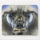Search for compound mouse mats Insect