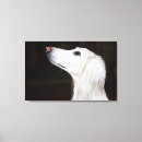 Search for saluki art Animal