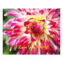 Search for spring photos art Flower