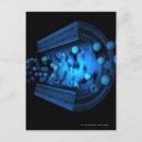 Search for cells postcards Image