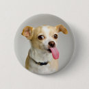 Search for big dog badges Animal
