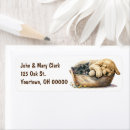 Search for golden retriever puppy return address labels Pet