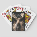 Search for moose Wild