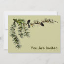 Search for conifers invitations Green