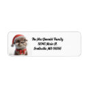 Search for otter return address labels Wildlife