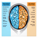 Search for brain anatomy posters Cerebrum