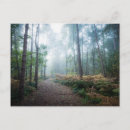 Search for norfolk postcards Landscape