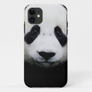 Search for china panda electronics Pandas
